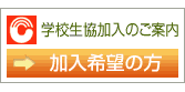�g���������̂��ē��@������]�̕�